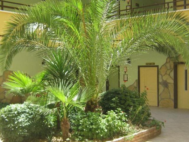 Oya Apartments Kusadası Extérieur photo